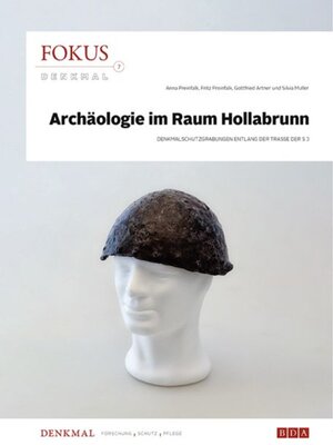 cover image of Fokus Denkmal 7